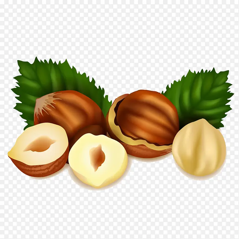 美味的榛子