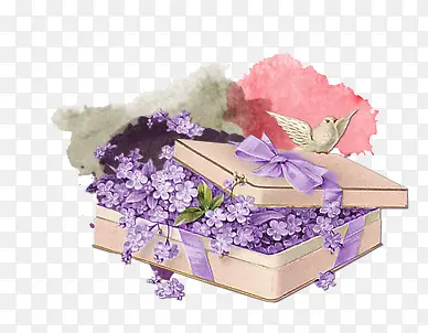 花 礼物 鲜花  紫色