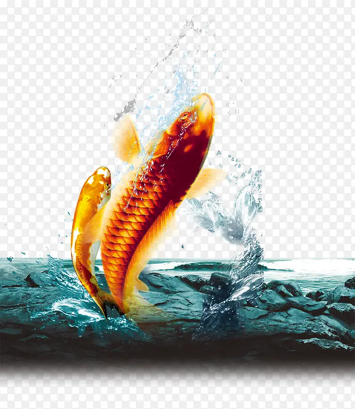 金鱼跳跃出水面