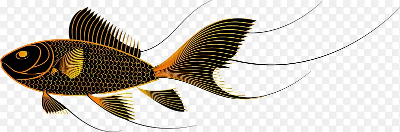 矢量金鱼插图