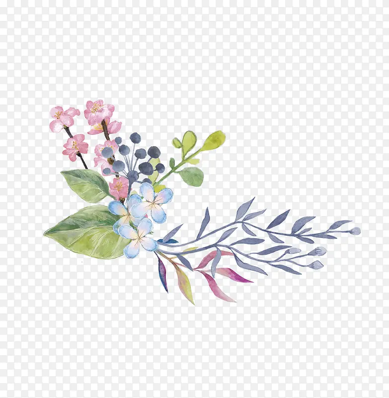 手绘花草花卉装饰PNG图片素材下载_图片编号qrvmogxx-免抠素材网