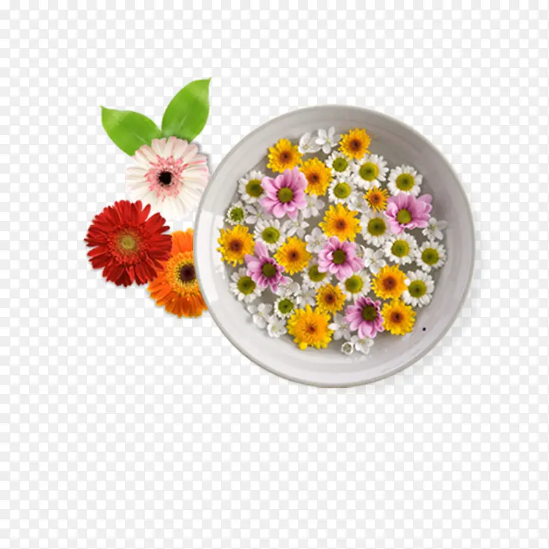 盘子中的菊花