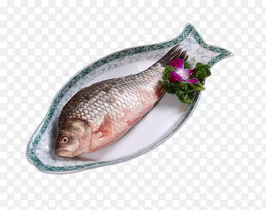 盘子中的鱼素材图片