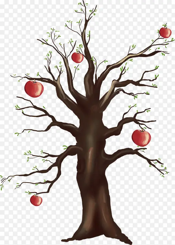 手绘苹果树