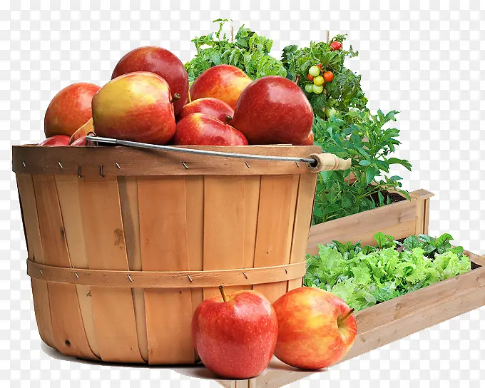 木桶里的苹果