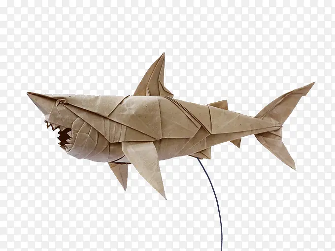 大鲨鱼折纸艺术
