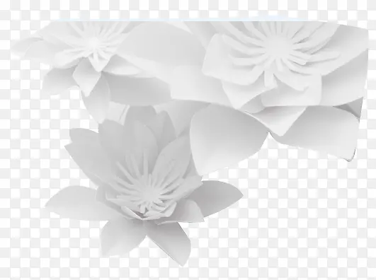 白色折纸花朵