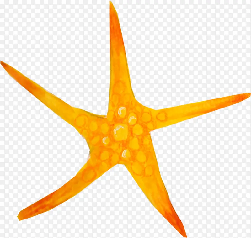 黄色海星星