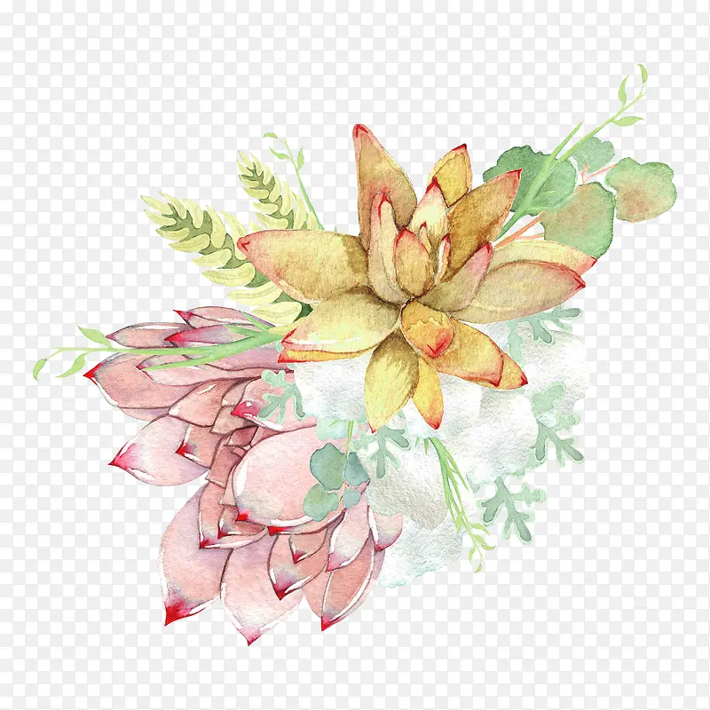 手绘鲜花