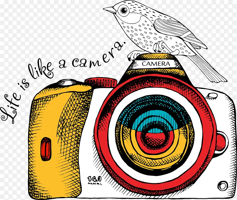 矢量手绘相机和小鸟