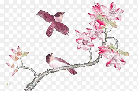 花鸟相恋
