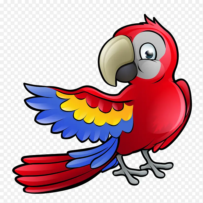 彩色的小鸟鹦鹉设计