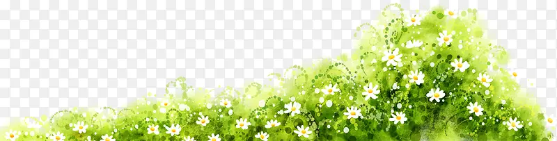 春天白色小花草丛