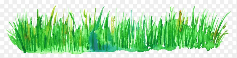 水彩绿色草丛