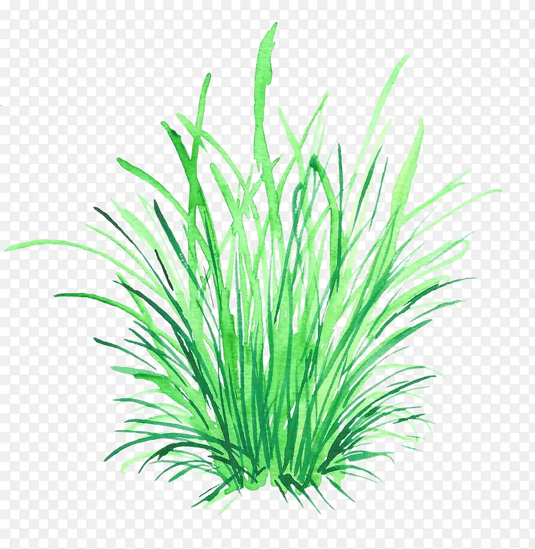 水彩绿草