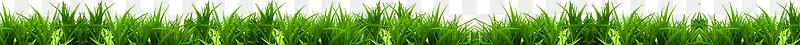 绿色植物草丛效果海报图