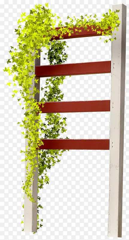 椅背草丛
