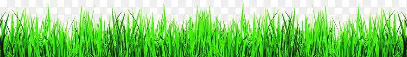创意绿色环境渲染效果草丛