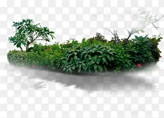 高清创意绿色草丛树木