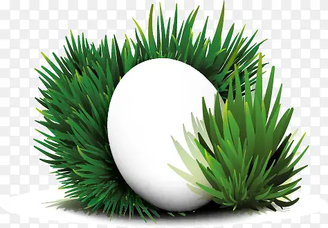 绿色草丛中的白色鸡蛋