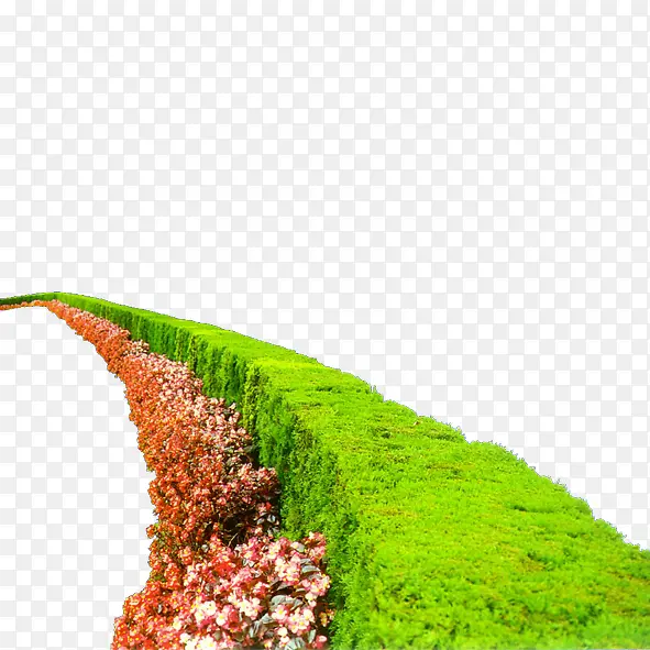 绿色植物PNG图片素材下载_图片编号qgelgenw-免抠素材网