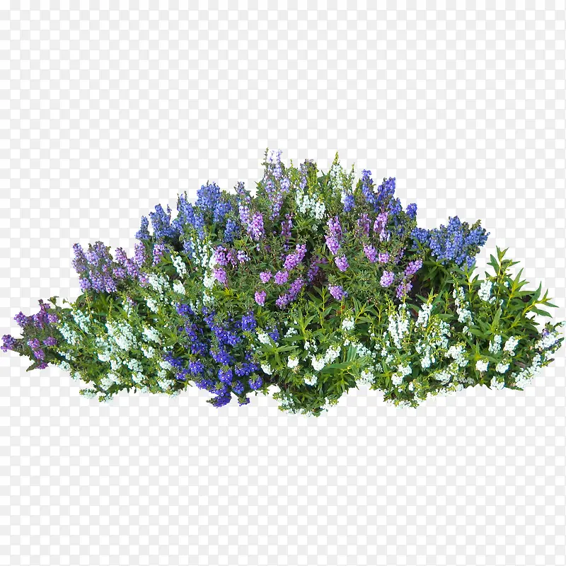 紫色清新花丛装饰图案