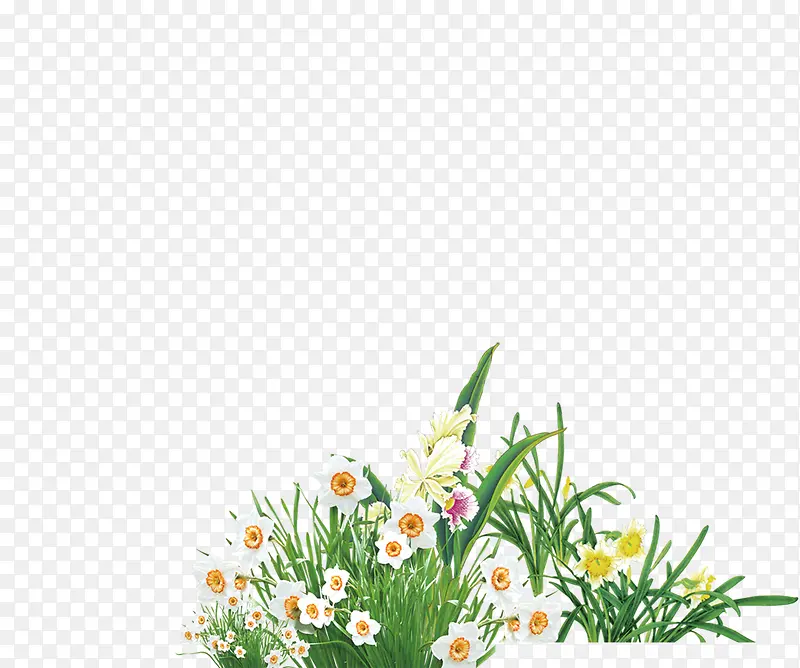 白色小花花朵花丛