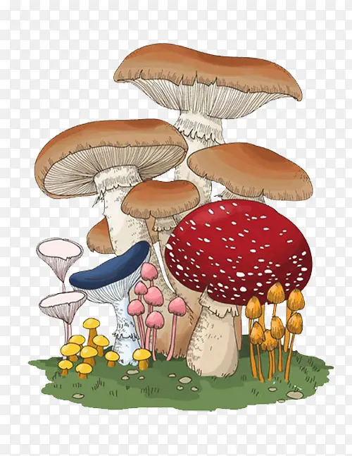 各色蘑菇