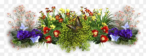鲜花花丛