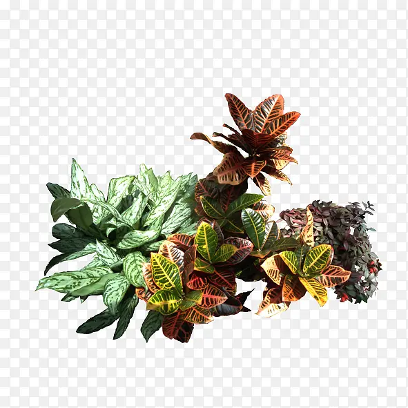 绿色植物PNG图片素材下载_图片编号qanrxxod-免抠素材网