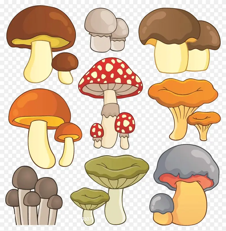 蘑菇 可爱 卡通 彩色