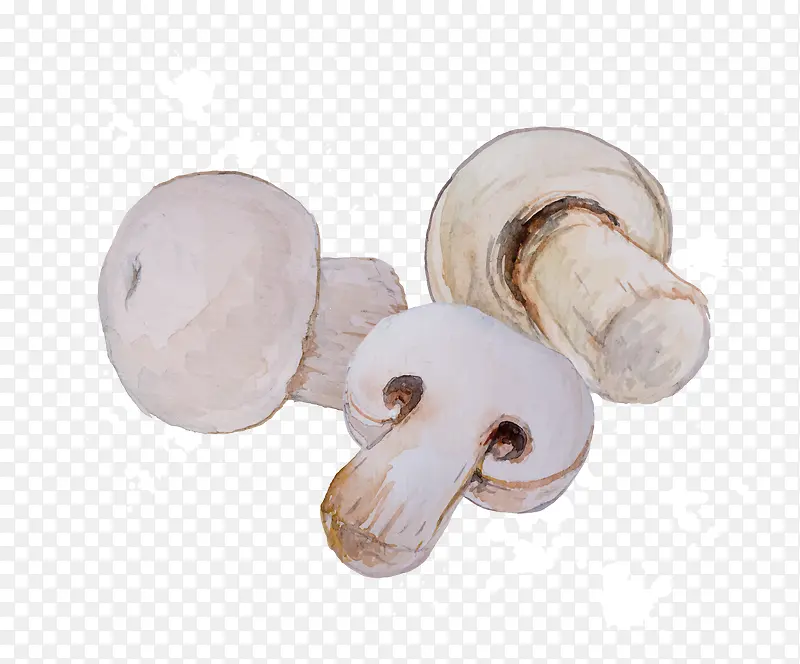 卡通白色蔬菜蘑菇免扣png