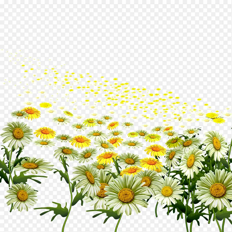 花草