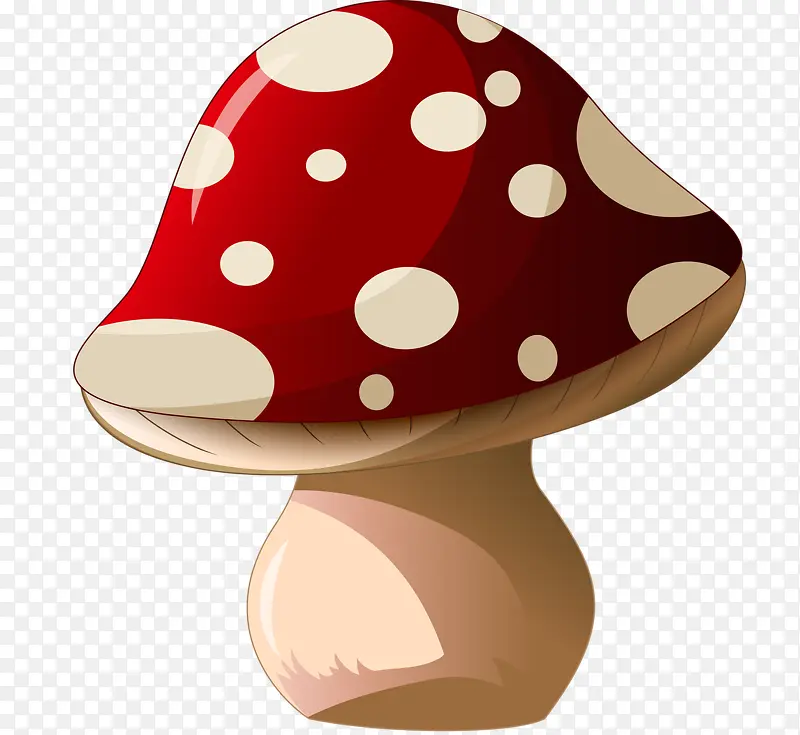 雨季的蘑菇