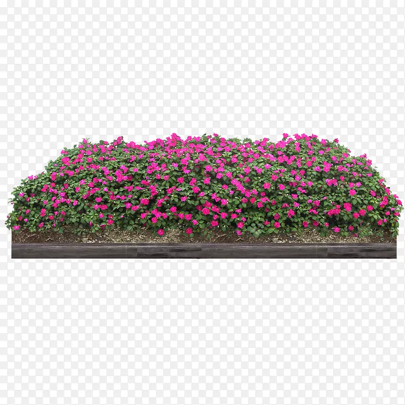 绿色植物PNG图片素材下载_图片编号qpeawwrm-免抠素材网