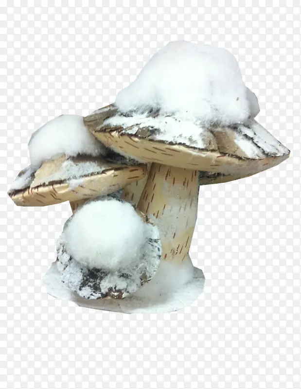 雪中蘑菇