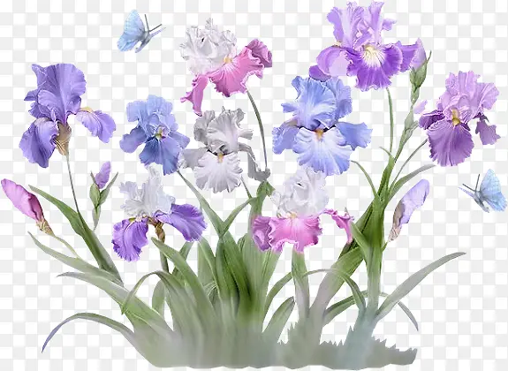 手绘蓝色花朵花瓣花丛