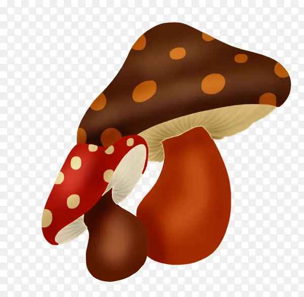 圆点蘑菇