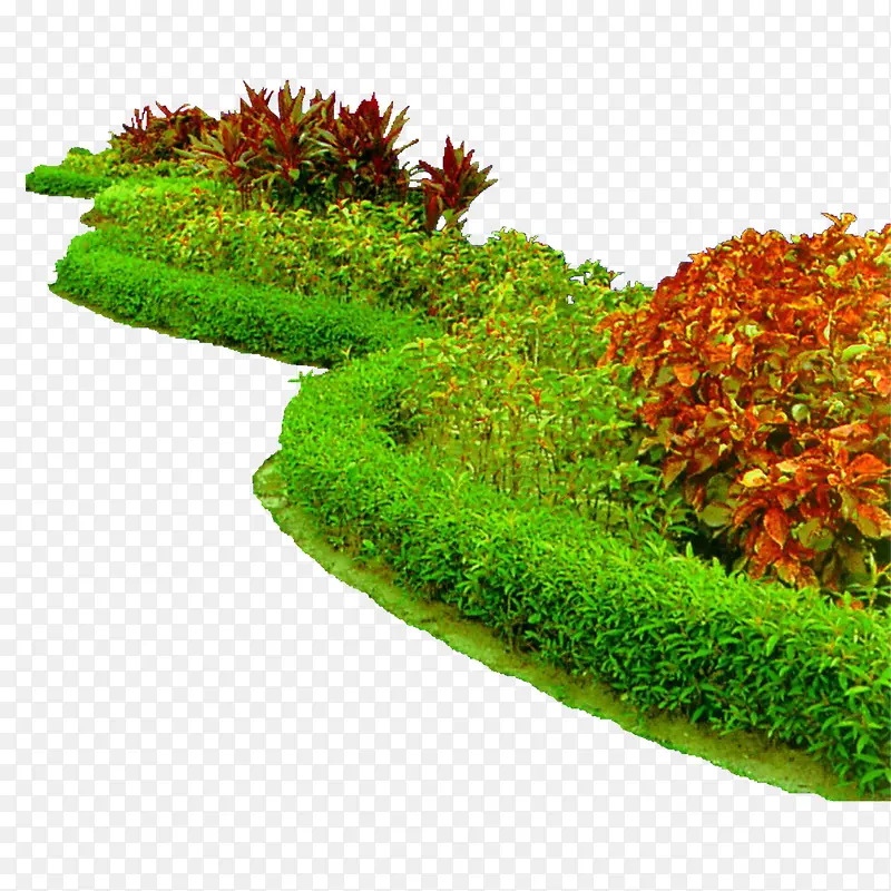 绿色植物PNG图片素材下载_图片编号qkepzzdx-免抠素材网