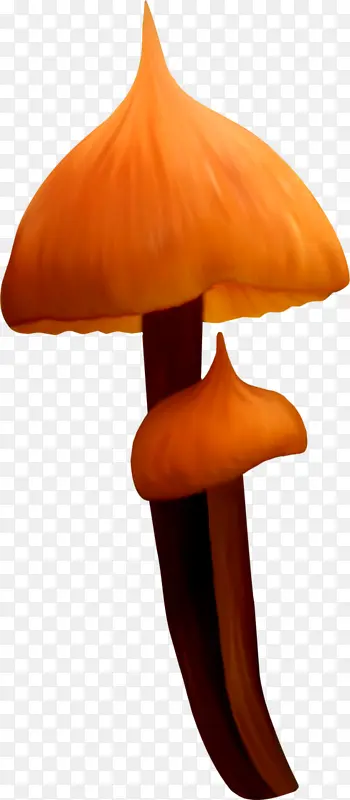 尖头蘑菇伞