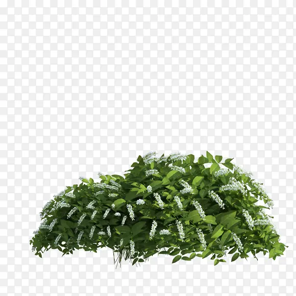 花丛植物素材