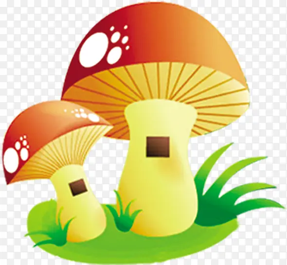 手绘黄红色蘑菇插图