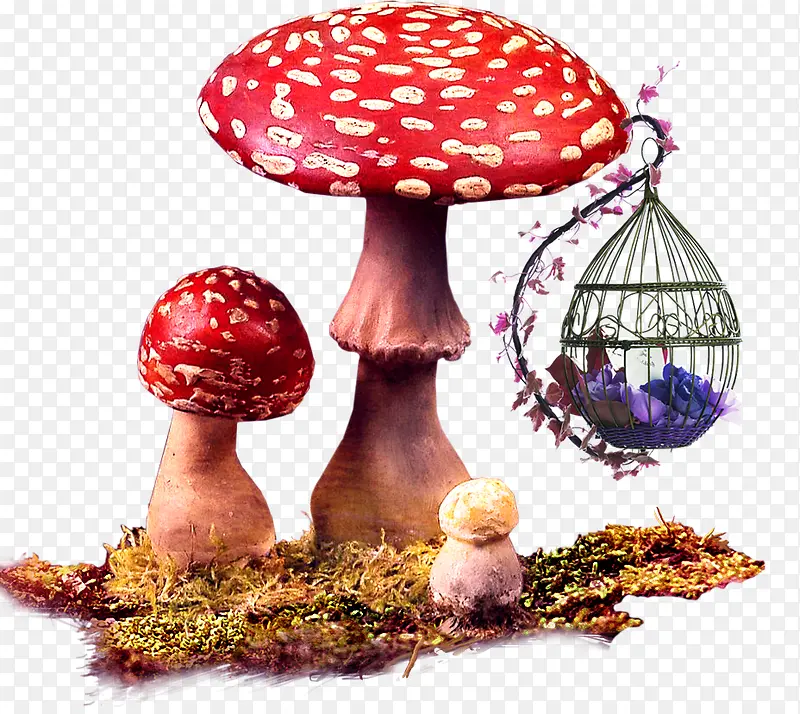 蘑菇和吊篮
