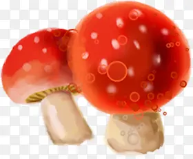 手绘红色可爱蘑菇装饰