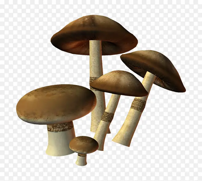 许多可爱蘑菇
