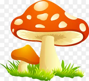 可爱卡通斑点蘑菇造型