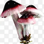 创意合成摄影红色的蘑菇