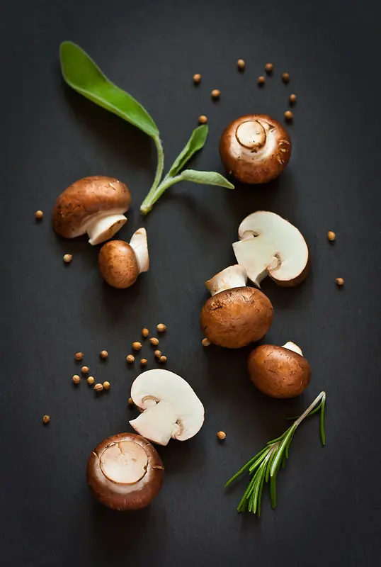 蘑菇嫩芽静物摄影