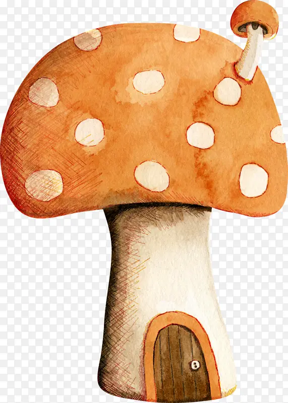 橘色蘑菇