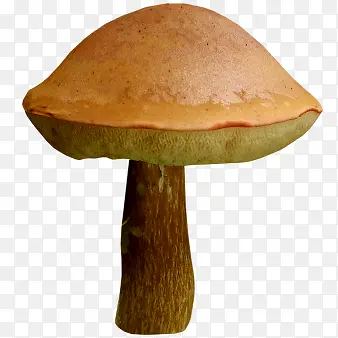 蘑菇美食图片